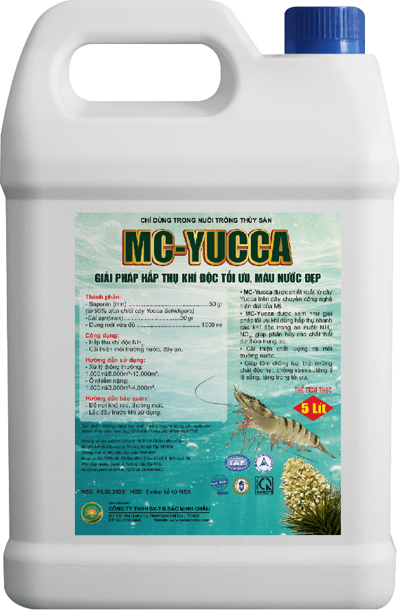 MC-YUCCA thumbnail 2
