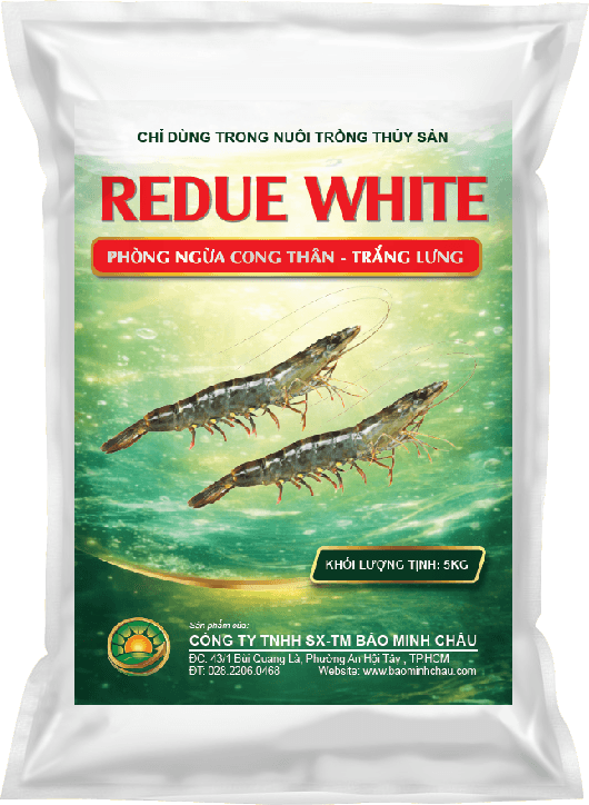 REDUE WHITE - 1